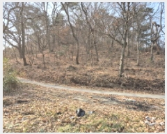  2025Ÿ��91  �Ӿ߰��