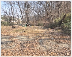  2025Ÿ��91  �Ӿ߰��