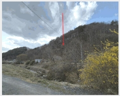  2025Ÿ��987  �Ӿ߰��