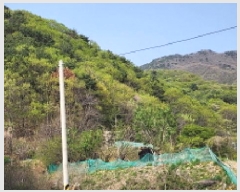  2025Ÿ��987  �Ӿ߰��