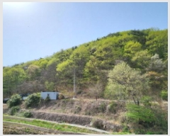  2025Ÿ��987  �Ӿ߰��