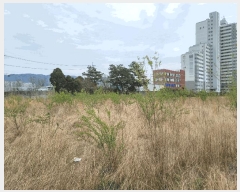  2025Ÿ1031  ϱ õ 331-1       ()