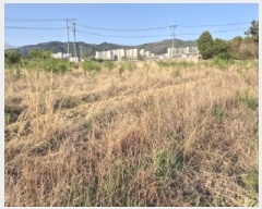  2025Ÿ1031  ϱ õ 331-1       ()