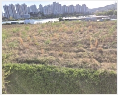  2025Ÿ1031  ϱ õ 331-1       ()