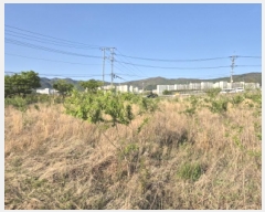  2025Ÿ1031  ϱ õ 331-1       ()