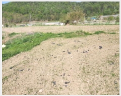  2025Ÿ1038  ֱ ﵿ Ḯ 791-1      ()