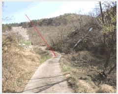  2025Ÿ1038  ֱ ﵿ Ḯ 791-1      ()