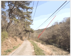  2025Ÿ1038  ֱ ﵿ Ḯ 791-1      ()