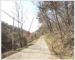  2025Ÿ1038  ֱ ﵿ Ḯ 791-1      ()