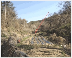  2025Ÿ1038  ֱ ﵿ Ḯ 791-1      ()