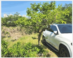  2025Ÿ��1061  ����