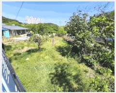  2025Ÿ��1061  ����