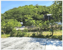  2025Ÿ��1061  ����