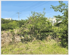  2025Ÿ��1061  ����