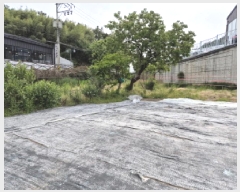  2025Ÿ��1061  ����