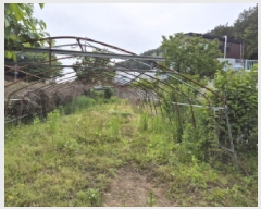  2025Ÿ��1061  ����