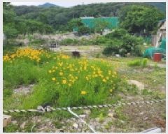  2025Ÿ��1113 �泲 ���� �Ϻϸ� �뿬�� 506-1      ����(����)���