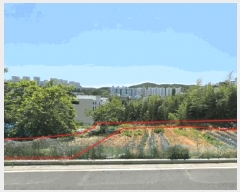  2025Ÿ��1133 ��� ���ֱ� �¾��� ��ȸ� 505-2      ����(��1)���