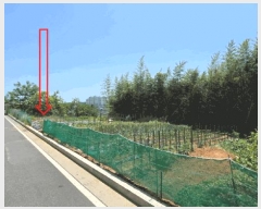  2025Ÿ��1133 ��� ���ֱ� �¾��� ��ȸ� 505-2      ����(��1)���