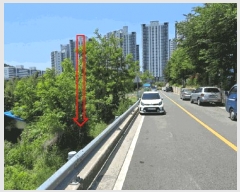  2025Ÿ��1133 ��� ���ֱ� �¾��� ��ȸ� 505-2      ����(��1)���