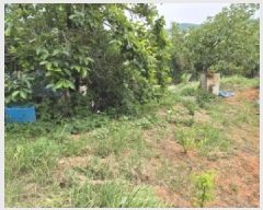  2025Ÿ��1133 ��� ���ֱ� �¾��� ��ȸ� 505-2      ����(��1)���