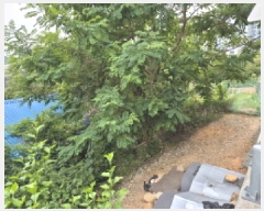  2025Ÿ��1133 ��� ���ֱ� �¾��� ��ȸ� 505-2      ����(��1)���