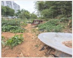  2025Ÿ��1133  �����