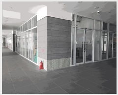  2025Ÿ��1256  �ٸ��󰡰��