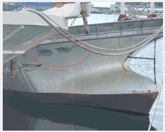  2025Ÿ��1475  ���ڰ��