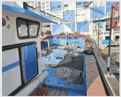  2025Ÿ��1475  ���ڰ��