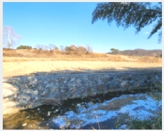  2025Ÿ10715  ֱ ﳲ õ 118-1      ()