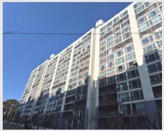  2025Ÿ11314   ȭ 175 Ʈ 101 14 1508ȣ   Ʈ