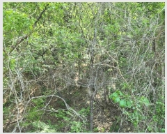  2025Ÿ��11627 ��� ���ֱ� ����� ������ ��75-8      ����(�Ӿ�)���