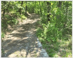  2025Ÿ��11627 ��� ���ֱ� ����� ������ ��75-8      ����(�Ӿ�)���