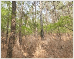  2025Ÿ��11627 ��� ���ֱ� ����� ������ ��75-8      ����(�Ӿ�)���