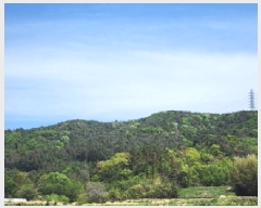  2025Ÿ��11627 ��� ���ֱ� ����� ������ ��75-8      ����(�Ӿ�)���