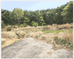  2025Ÿ��11642  ����