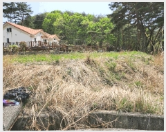  2025Ÿ��11642  ����