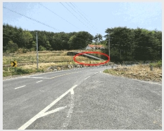  2025Ÿ��11642  ����