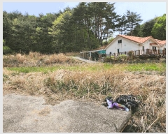  2025Ÿ��11642  ����