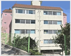  2025Ÿ��11650  �ټ���(����)���