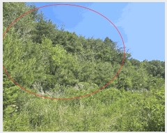  2025Ÿ��11870 ��� ���ֱ� �ﵿ�� ���Ḯ 1223-7      ����(�Ӿ�)���