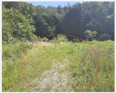  2025Ÿ��11870 ��� ���ֱ� �ﵿ�� ���Ḯ 1223-7      ����(�Ӿ�)���