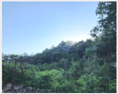  2025Ÿ��11870 ��� ���ֱ� �ﵿ�� ���Ḯ 1223-7      ����(�Ӿ�)���