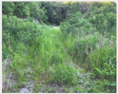  2025Ÿ��11870 ��� ���ֱ� �ﵿ�� ���Ḯ 1223-7      ����(�Ӿ�)���