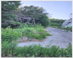  2025Ÿ��11870 ��� ���ֱ� �ﵿ�� ���Ḯ 1223-7      ����(�Ӿ�)���