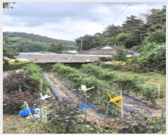  2025Ÿ��12279  �����