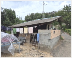  2025Ÿ��12279  �����