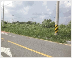  2025Ÿ��12322 ��� �ϱ� ȣ�赿 1010-9       ����(����)���