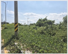  2025Ÿ��12322 ��� �ϱ� ȣ�赿 1010-9       ����(����)���